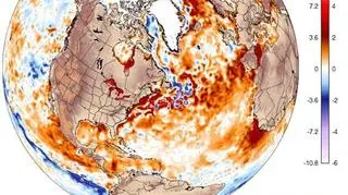Odchylenie temperatury wód powierzchniowych Atlantyku od normy wieloletniej (University of Maine)