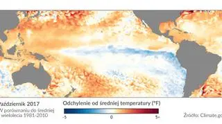 Odchylenie temperatury wód powierzchniowych Atlantyku od normy wieloletniej (za NOAA)
