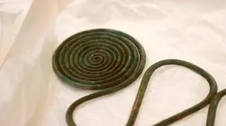 Odkrycie archeologiczne w Szwecji (PAP/EPA/Adam Ihse)
