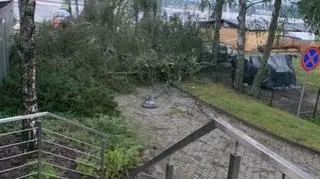 Okolice jeziora Ukiel (Kontakt24/Jacek)