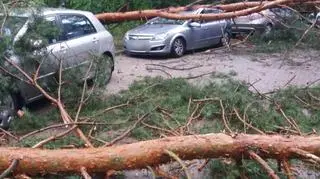 Okolice jeziora Ukiel (Kontakt24/Jacek)