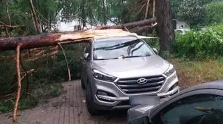 Okolice jeziora Ukiel (Kontakt24/Jacek)