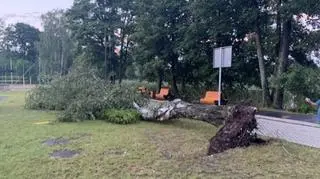 Okolice jeziora Ukiel (Kontakt24/Jacek)