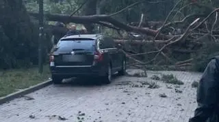Okolice jeziora Ukiel (Kontakt24/Jacek)