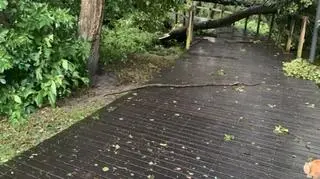 Okolice jeziora Ukiel (Kontakt24/Jacek)	