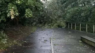 Okolice jeziora Ukiel (Kontakt24/Jacek)