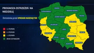 Orientacyjna prognoza ostrzeżeń IMGW na niedzielę
