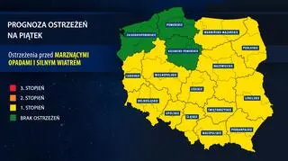 Orientacyjna prognoza ostrzeżeń IMGW na piątek