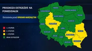 Orientacyjna prognoza ostrzeżeń IMGW na poniedziałek