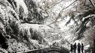 Ośnieżony park w Tibilisi, Gruzja (PAP/EPA)