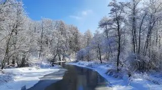 Ostatnie podrygi takiej zimy (Piotr Pyziołek)