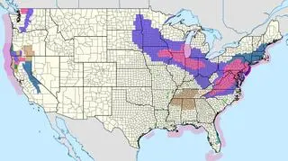 Ostrzeżenia przed opadami śniegu oznaczone są różowym kolorem (National Weather Service - NWS)