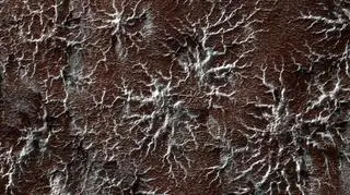 Pająkowe formy na powierzchni Marsa