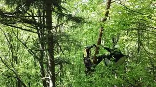 Paralotniarz utknął na drzewie (Grupa Podhalańska GOPR)