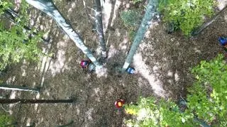 Paralotniarz utknął na drzewie (Grupa Podhalańska GOPR)