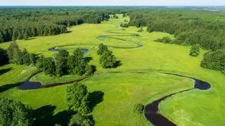 Park Narodowy Soomaa (Shutterstock)