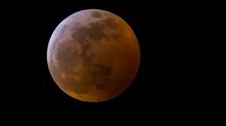 Pierwsze z trzech zaćmień Księżyca z 2019 roku (NASA)