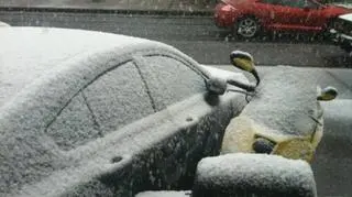 Pierwszy śnieg w Nowym Jorku (Kontakt 24/Dorus)