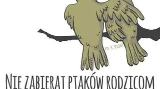 Plakat opracowany przez Fundacje "Dzika Ostoja"