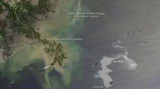 Plama oleju u wybrzeży Meksyku - Satelita Aqua/NASA