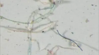 Plastikowe włókna odnalezione w kroplach deszczu (USGS)