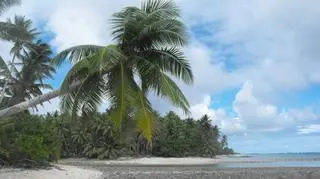 Plaża na wysepce Eneko w archipelagu Wysp Marshalla