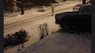 Po ulicach Bostonu chodzi Yeti (twitter.com/BostonYeti2015)