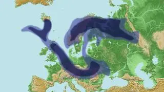 Po wybuchu wulkanu w 2010 roku chmura pyłu rozprzestrzeniła się nad większą częścią Europy