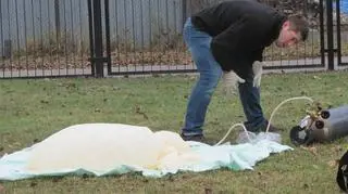Poczatek przygotowań do odlotu (Joanna Smolińska/tvnwarszawa.pl)