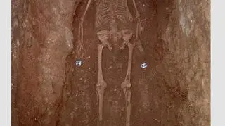 Podczas wykopalisk pobrano 127 próbek DNA (Universität Wien)