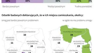 Polacy o smogu (Adam Ziemienowicz/PAP)