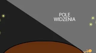 Pole widzenia na kulistej powierzchni (org. Moriel Schottlender/Popular Science)