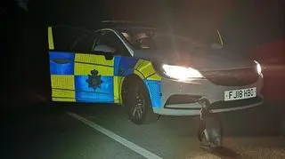 Policjanci natknęli się na pingwina (Broxtowe North Police)