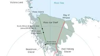 Półka Ross Ice 