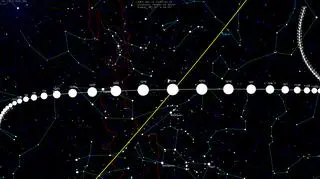 Położenie 46P/Wirtanen w podziale na dni (Tomruen/Wikipedia (CC BY-SA 4.0))