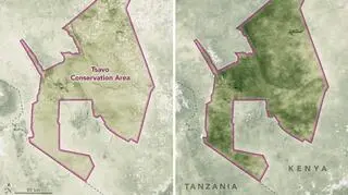 Populacja słoni spadła w 2009 roku (NASA/Joshua Stevens/LPDAAC/Google Earth)