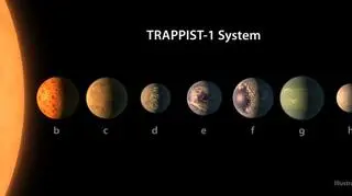 Porównanie planet TRAPPIST-1 (NASA/R. Hurt/T. Pyle)