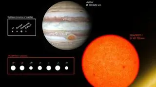 Porównanie rozmiarów planet (ESO/O. Furtak)