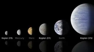 Porównanie wielkości planet układu Kepler-37 i ciał Układu Słonecznego (NASA/Ames/JPL-Caltech)