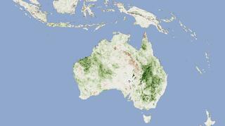 Postęp wegetacji w Australii: kolor biały - w normie, zielony - przyspieszona, brunatny - opóźniona (NASA)