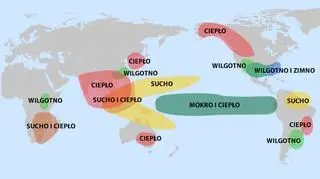 Potencjalny wpływ El Nino na pogodę (tvnmeteo