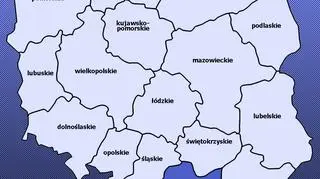 Potężna nawałnica przeszła w nocy przez Małopolskę