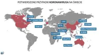 Potwierdzone przypadki koronawirusa na świecie (tvnmeteo.pl)