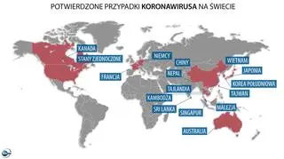 Potwierdzone przypadki koronawirusa na świecie (tvnmeteo.pl)