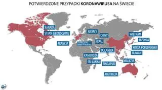 Potwierdzone przypadki koronawirusa na świecie (tvnmeteo.pl)