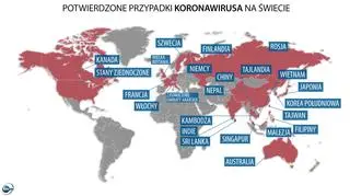 Potwierdzone przypadki koronawirusa na świecie (tvnmeteo.pl)