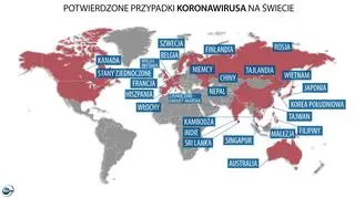 Potwierdzone przypadki koronawirusa na świecie (tvnmeteo