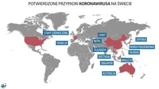 Potwierdzone przypadki koronawirusa na świecie (tvnmeteo
