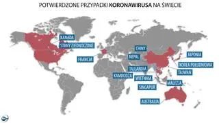 Potwierdzone przypadki koronawirusa na świecie (tvnmeteo