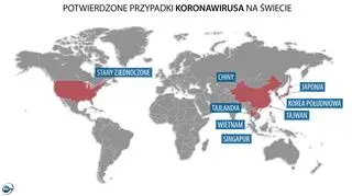 Potwierdzone przypadki koronawirusa na świecie (tvnmeteo.pl za China’s National Health Commision)